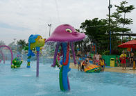 Attrezzatura del parco dell'acqua dello spruzzo del polipo della piscina del parco a tema di estate con vetroresina